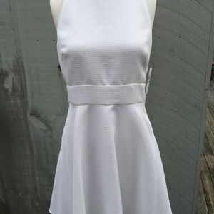 Maggy London Beautiful White Dress Size 10 NWT